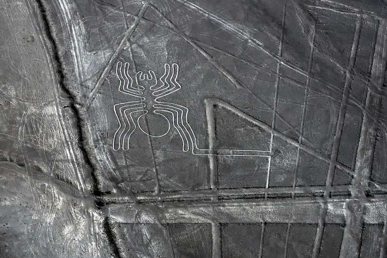 La araña, forma parte de las Pampas de Nasca.