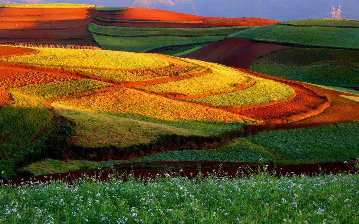 Las terrazas de tierra roja de Dongchuan (China).