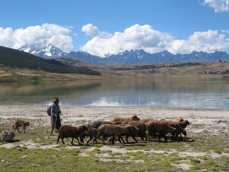 LAGUNA DE HUAYPO-LAGUNA DE PIURAY