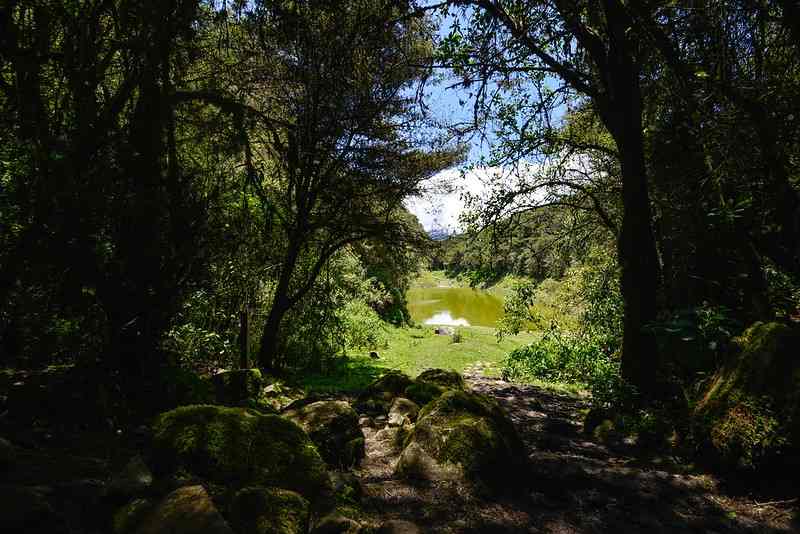 santuario nacional de ampay
