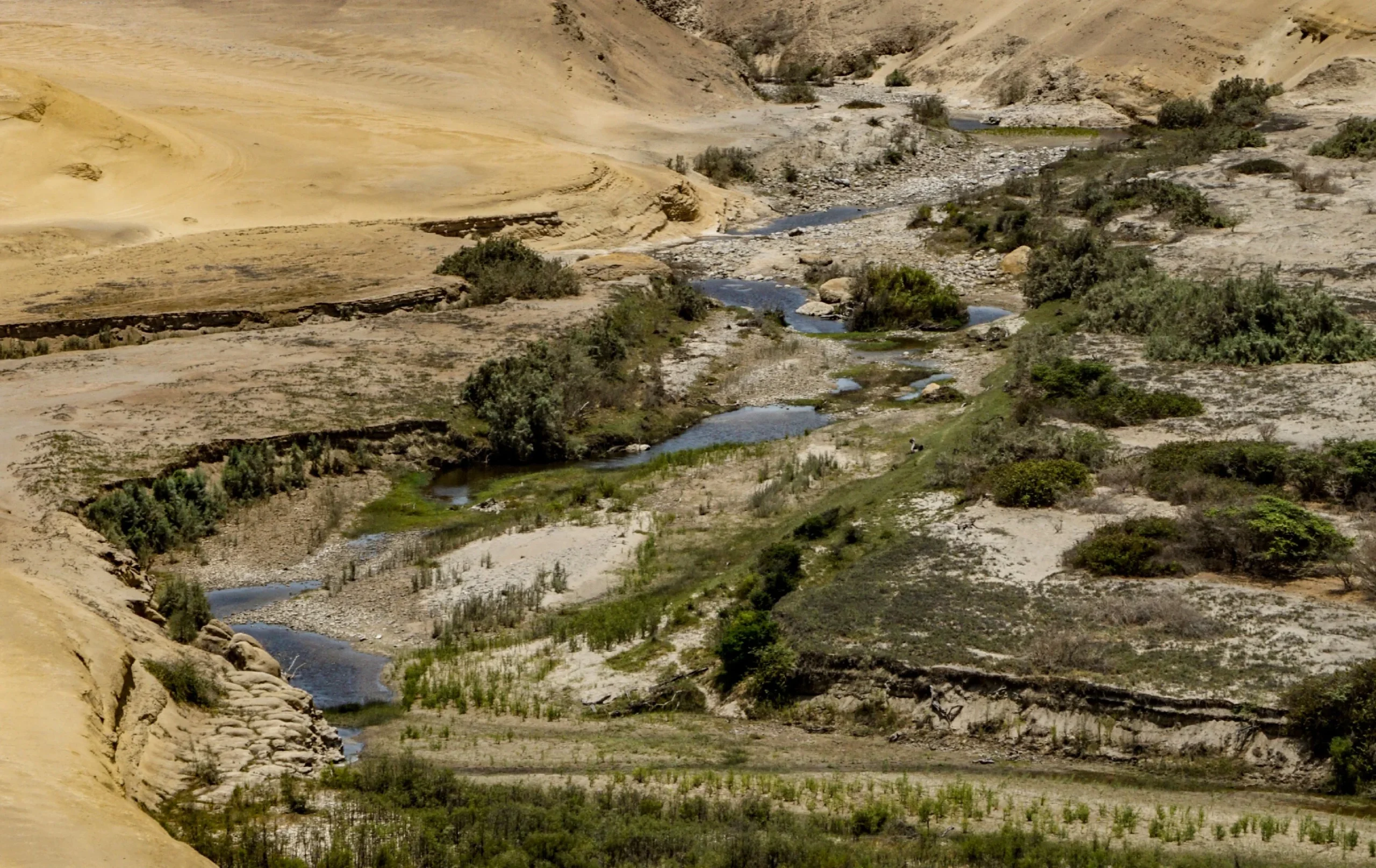 Rio en Ica - Desembocadura del Rio de la Huacachina