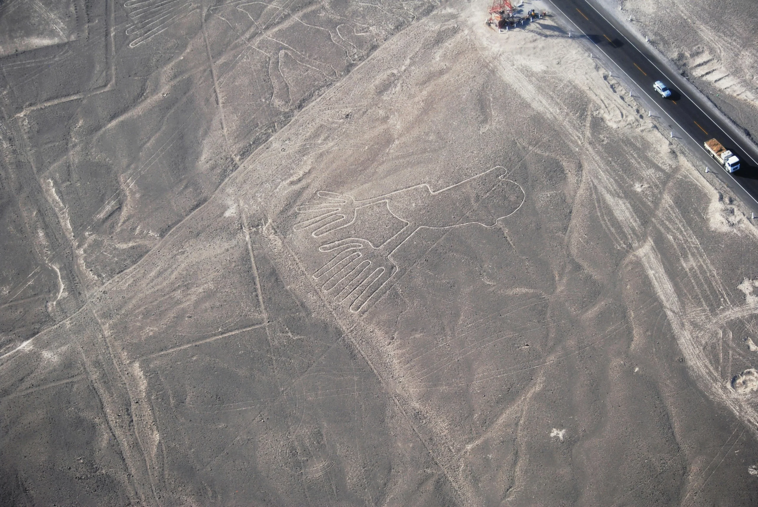 Bird in the Nazca Lines