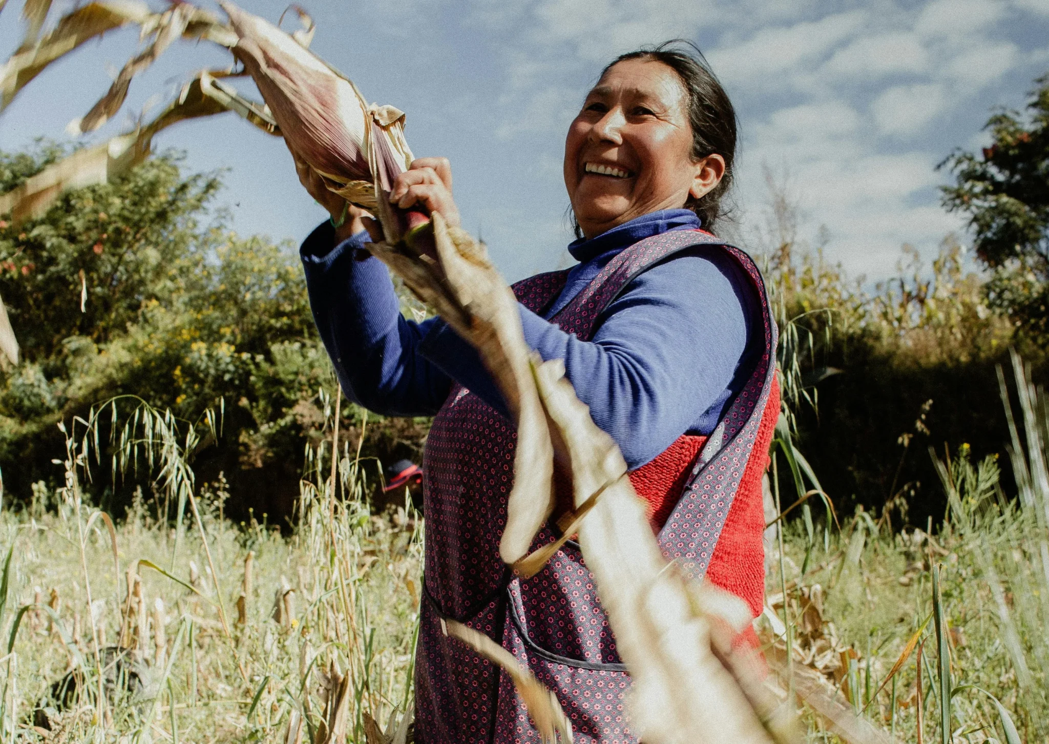 Mujer rural cosechando en el campo