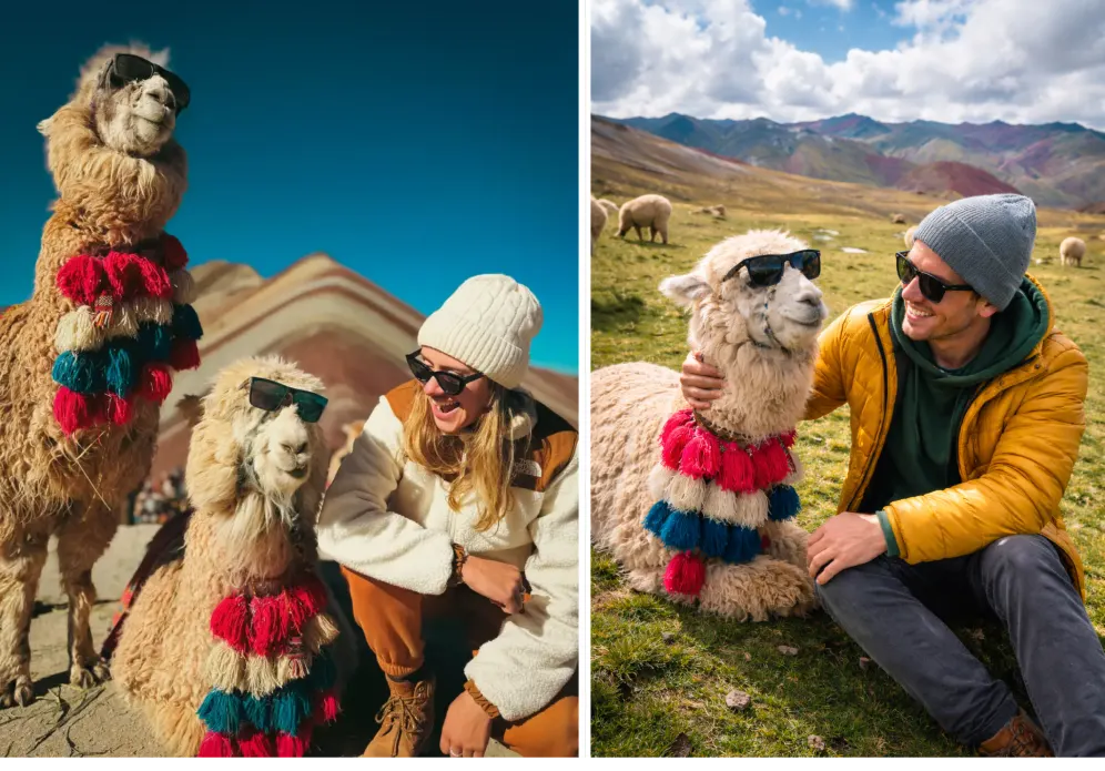 Tourists with alpacas at Rainbow Mountain in Cusco (Vinicunca vs Palcoyo)