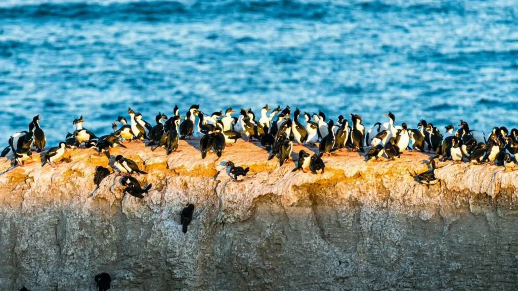 Tour Paracas Ica y Nazca 2D/1N desde Lima