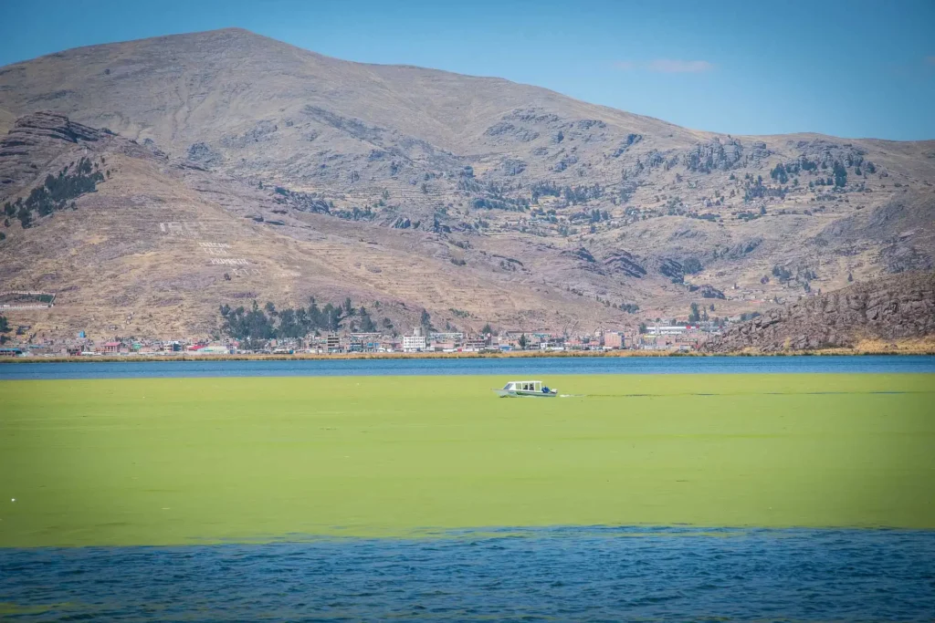 Tour Lago Titicaca desde Puno | 1 Día