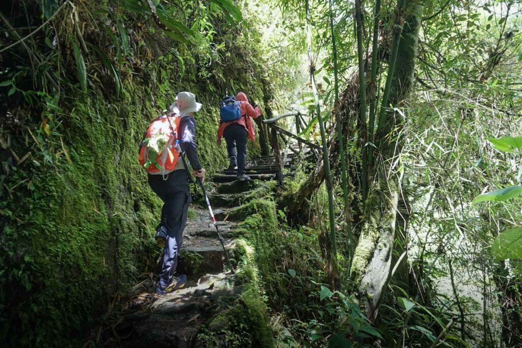 Camino Inca 4 Días a Machu Picchu