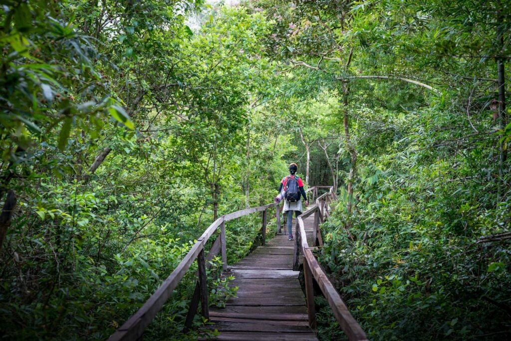 Inca Jungle Trek 4 Días/ 3 Noches