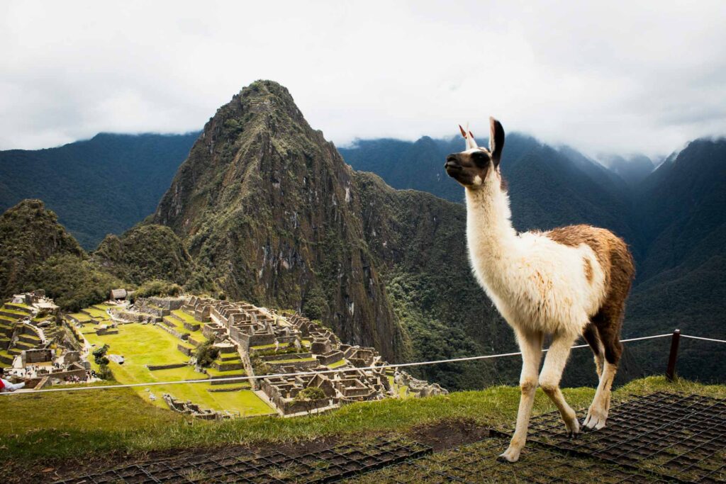 THE MAGIC ANDES ROUTE 10 DAYS / 9 NIGHTS