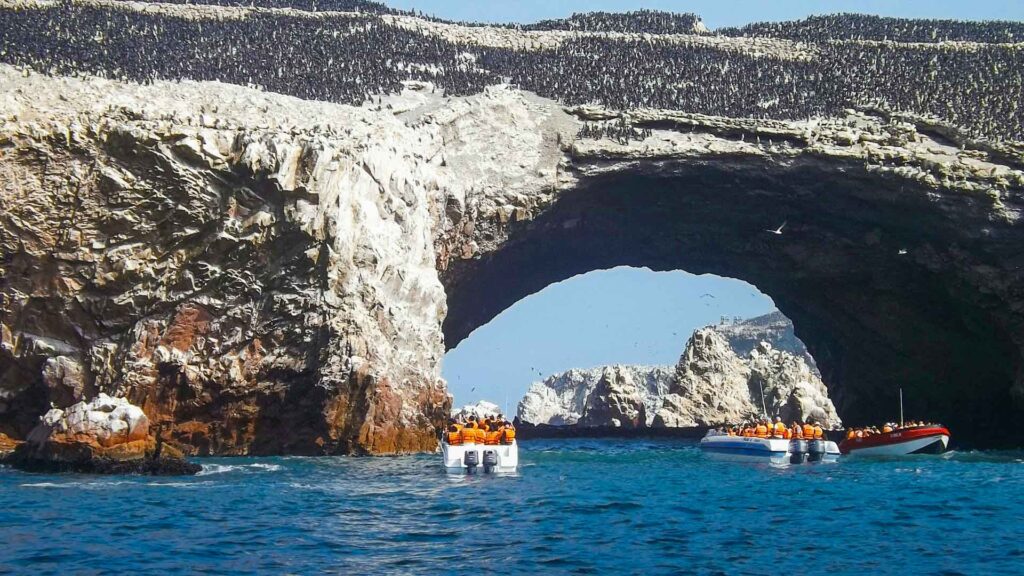 Tour Paracas y Huacachina desde Lima | Full Day