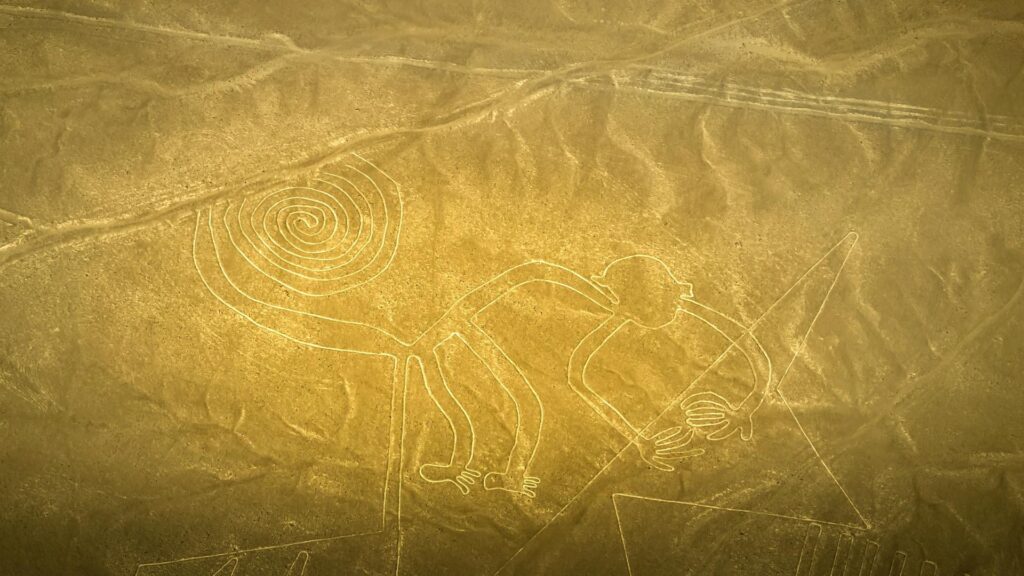 TOUR PARACAS, ICA Y NAZCA 2D/1N