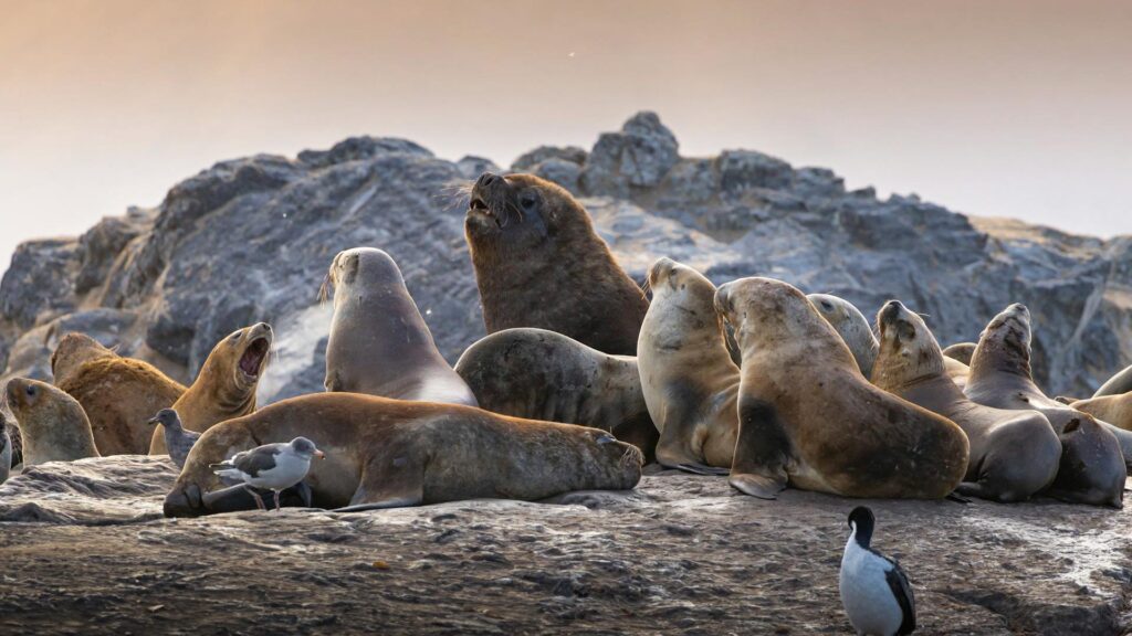 TOUR PARACAS, ICA Y NAZCA 2D/1N