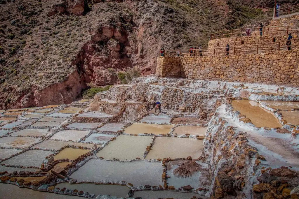 Maras Moray Tour with Llama Picnic from Cusco