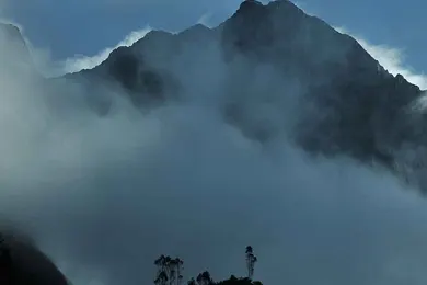 Camino Inca Jungle a Machu Picchu